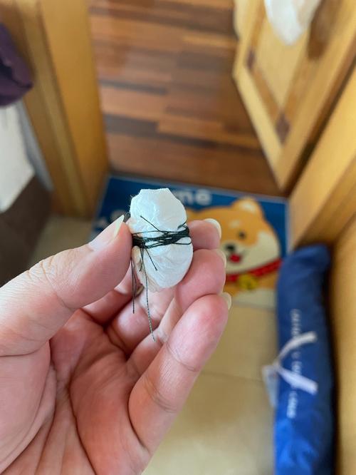 家里有马蜂窝风水