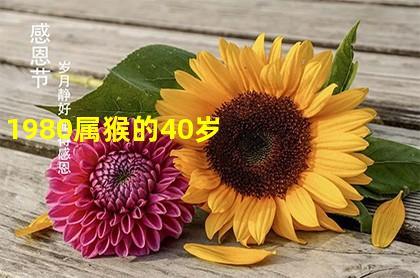 1980属猴的40岁以后怎么样呢