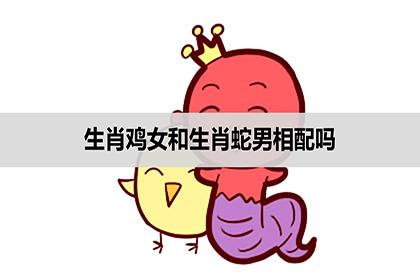 男鸡女蛇相配吗?属蛇女的性格如何?