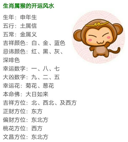 与12生肖最有缘的星座