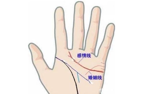 手相看他对你是否专一