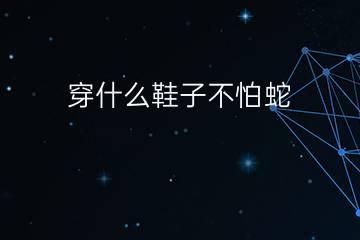 梦见蛇跑自己鞋子里