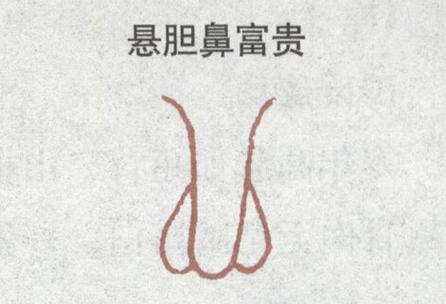 钗钏金命人有悬胆鼻运势如何