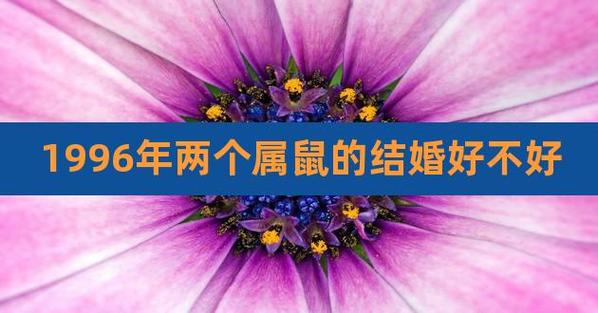 96年属鼠哪一年适合结婚