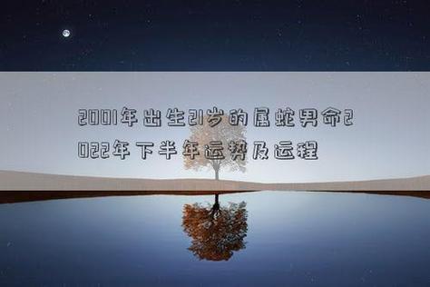 2001年出生21岁的属蛇男命2022年下半年运势及运程