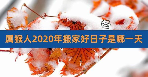 2020年农历十月生肖猴哪一天适合搬家?搬家的好日子推荐!