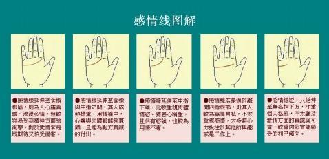 感情线分叉成两条,会有意想不到的事情发生