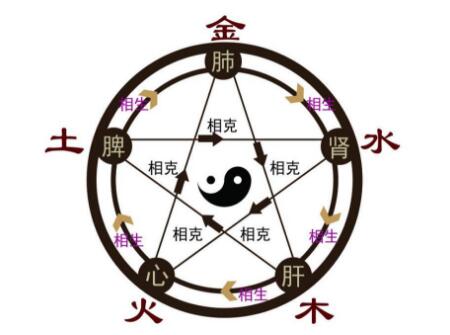 2019属什么五行