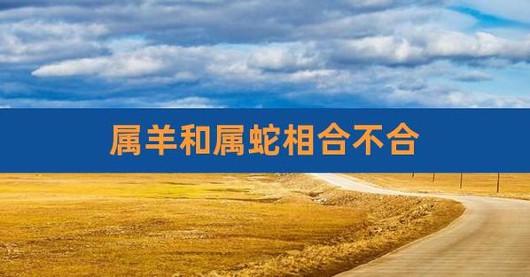 属蛇和属羊的合财吗