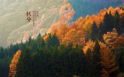 2020秋分出生的男孩五行属什么?秋分出生的人命运解析