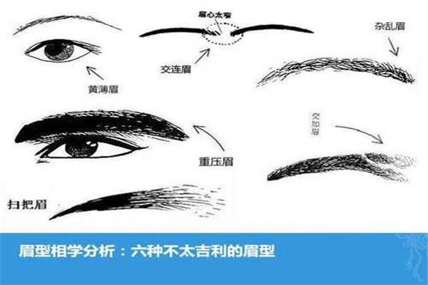 虎眉和扫帚眉区别
