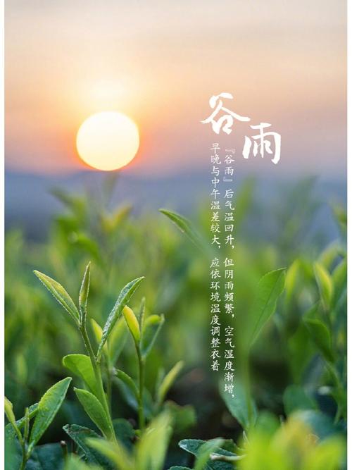 出生在谷雨那天好吗