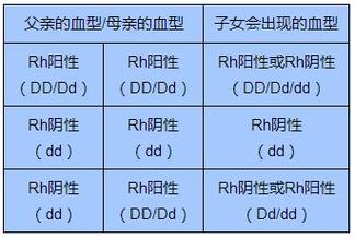a型rh阴性血人特点