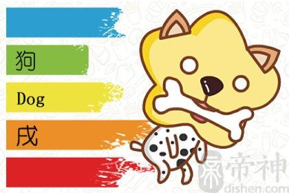 和属狗成为初恋是什么样的体验