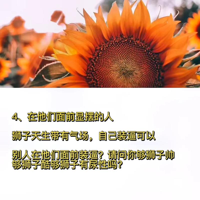 狮子座最招人讨厌的地方