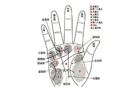女人右手有痣图解大全