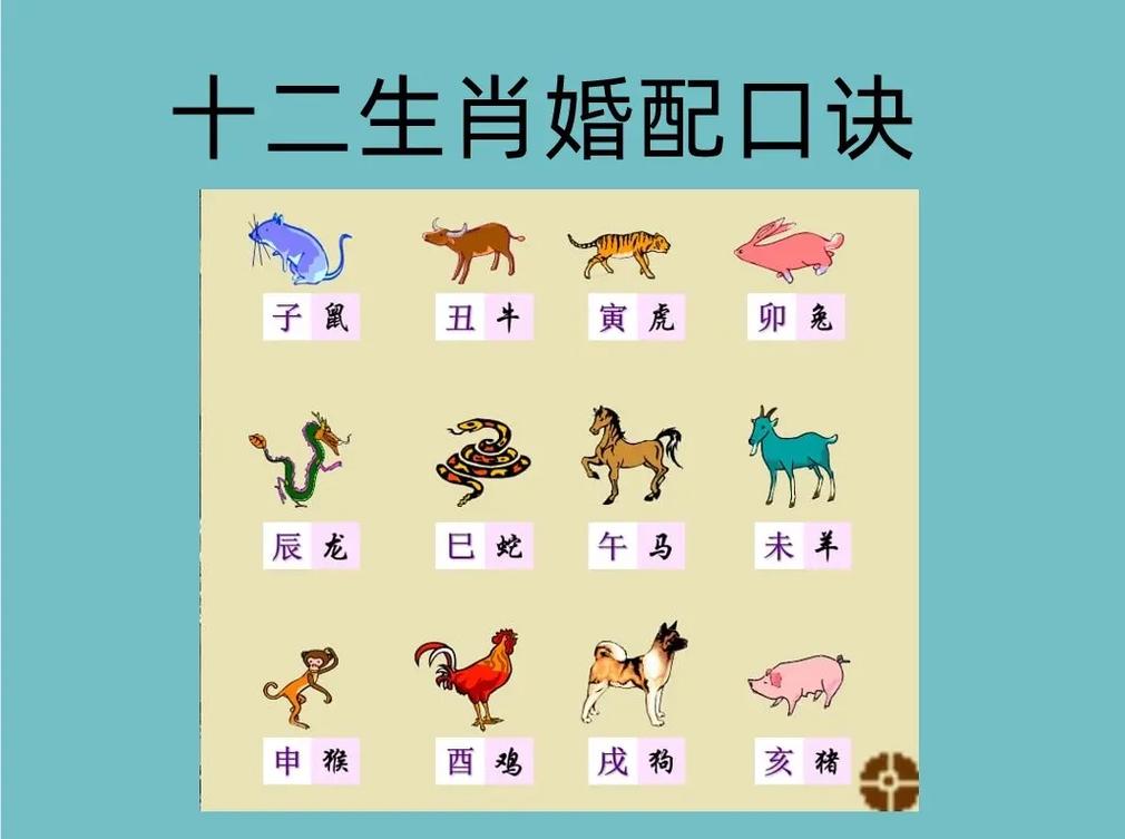 十二生肖上等婚配查询