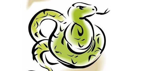 属蛇喜欢主动的人那