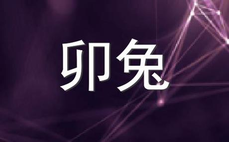 哪几个生肖是不想理人就会装内向