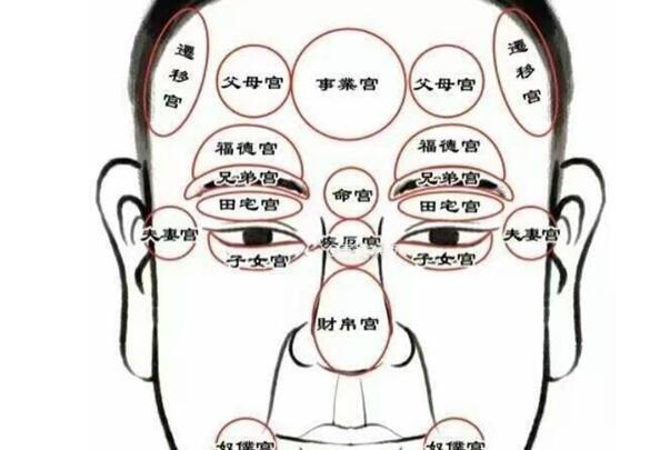 面相12宫:疾厄宫详解