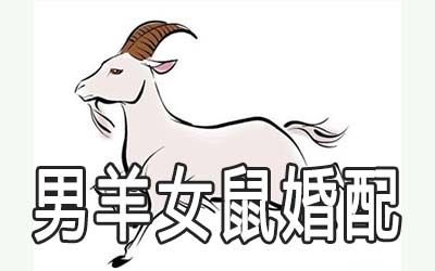 女羊男鼠能幸福美满吗