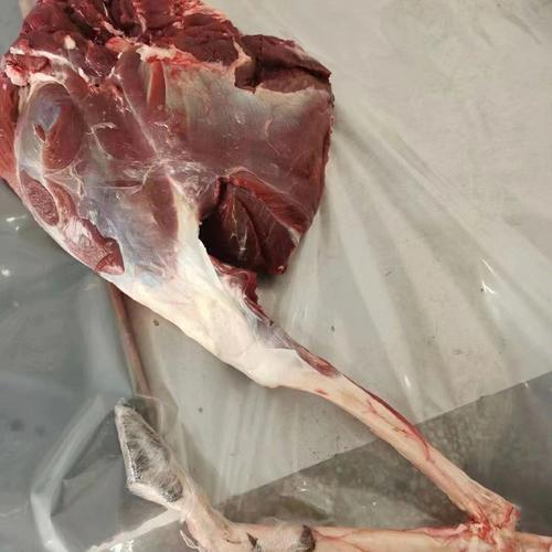 梦见吃鹿肉怎么回事