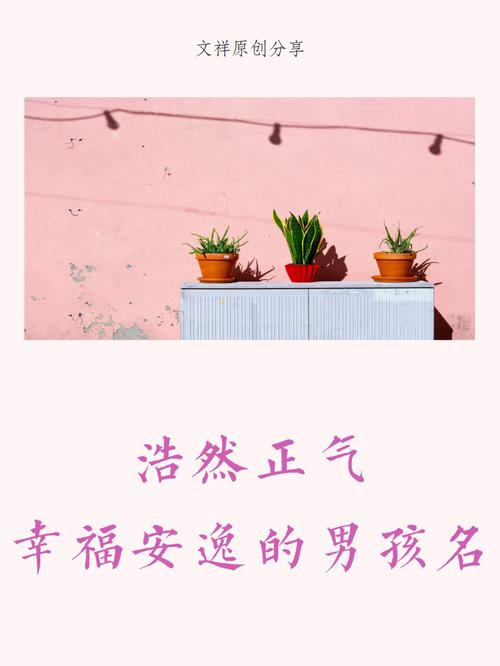 用理字取男孩名字,带理字的男孩名字库
