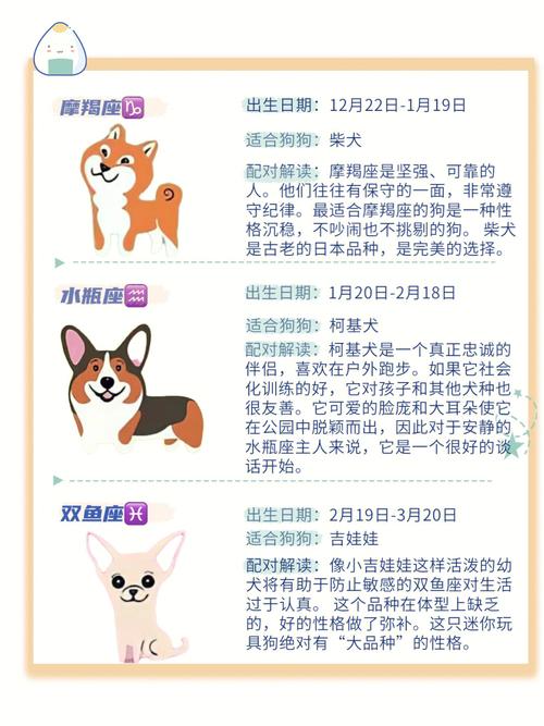 信号枪最适合什么星座