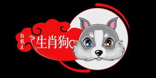 比赛输了 属狗人都是什么心态