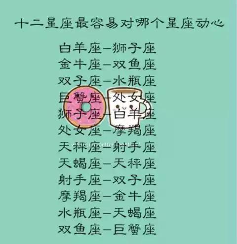 双子座 射手座在一起是什么反应