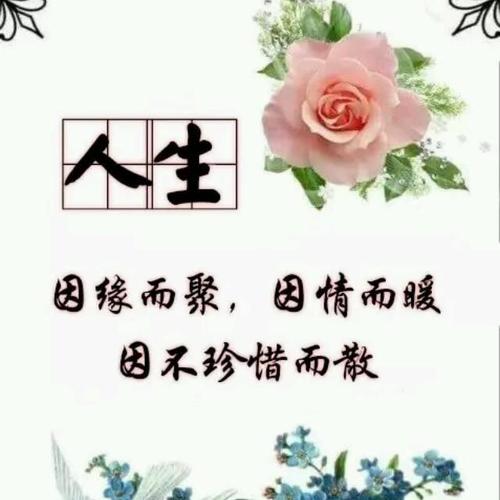 11月底缘分桃花花好月圆,将会牵手真爱的4大生肖!