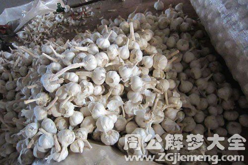 梦见蒜头满地