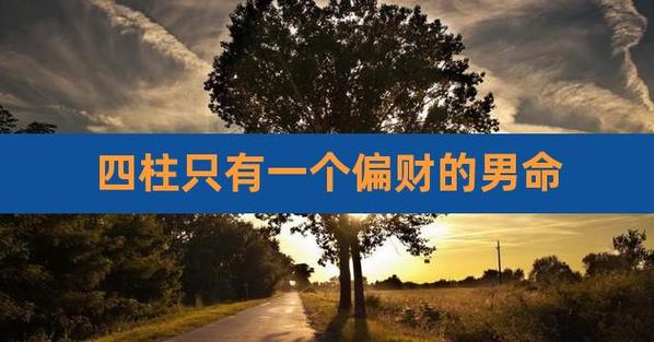 男命只有一个偏财