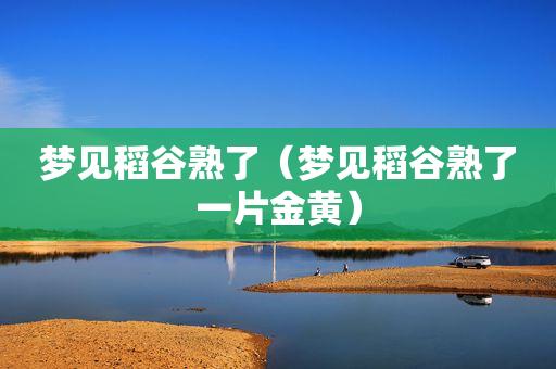 梦见稻谷熟了