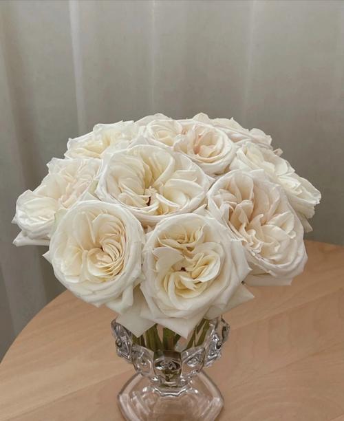 82朵玫瑰的花语是什么?82朵玫瑰代表什么意思?