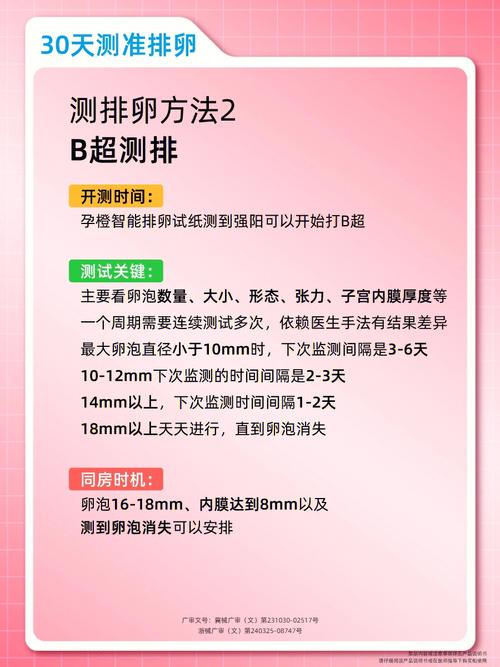 属狗的妈妈2019年怀孕好吗,几月怀孕好