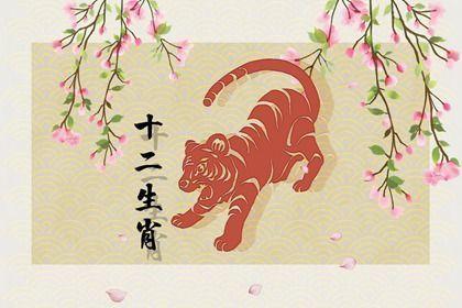 1986年属虎女的命运