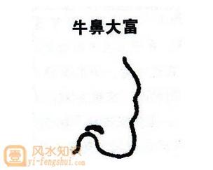 牛鼻是指哪一种鼻型