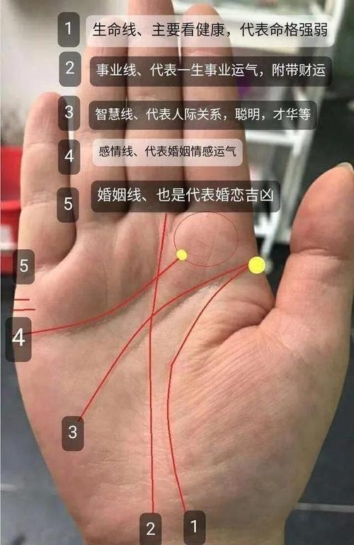 富贵手相三种纹你知道哪些