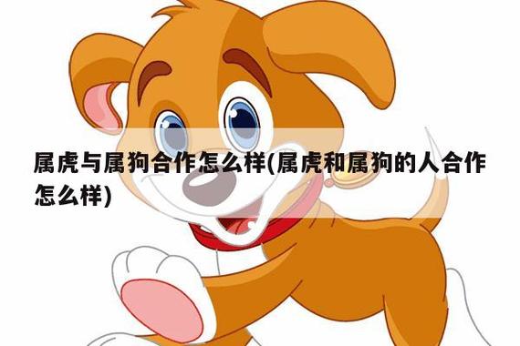 属虎与属狗合不合财
