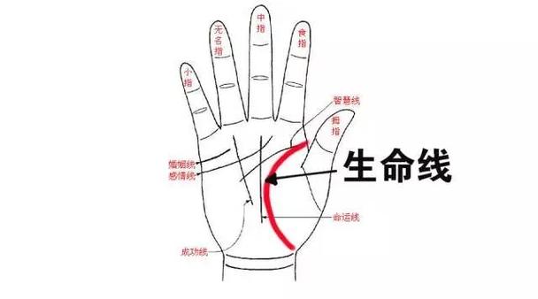 生命线是哪条 女的生命线是哪条