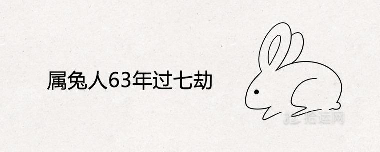 属兔人63年过七劫是什么意思