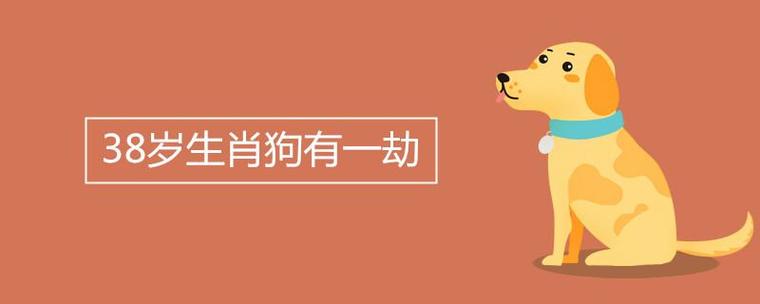 39岁生肖狗有一劫