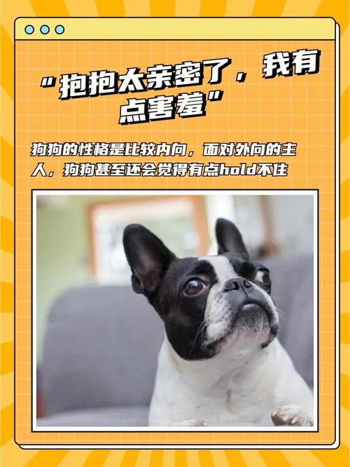 属狗男不理你不主动是不爱你