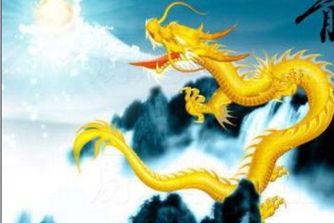 对你真心的属龙是这样的!