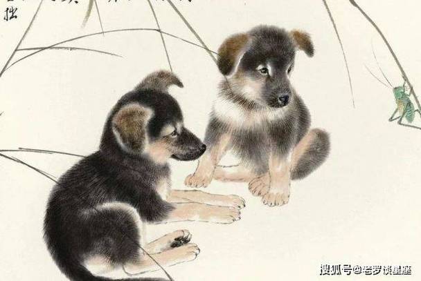 国庆节后桃花不断的3大生肖