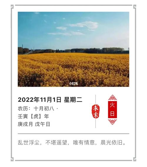 2020年11月1日好听的宝宝名字