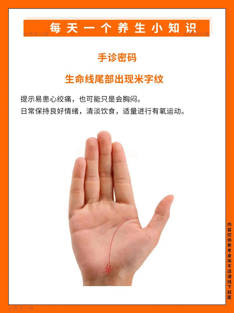 从手腕线看你一生命运