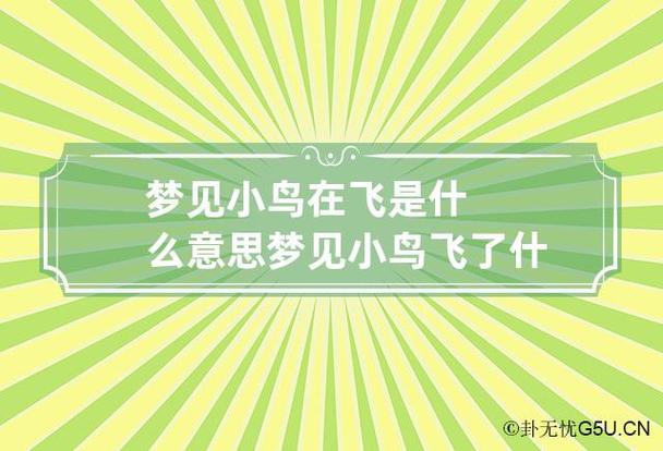 梦见小鸟飞 梦见小鸟飞走了是什么意思