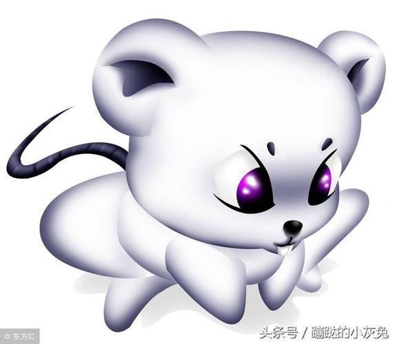 属鼠人职场上遇到什么会经常发脾气